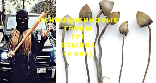 не бодяженный Богданович