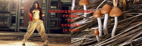 Альфа ПВП Богородск